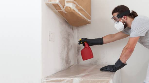 Attic Mold Remediation treatment on roof deck in Fort Hill