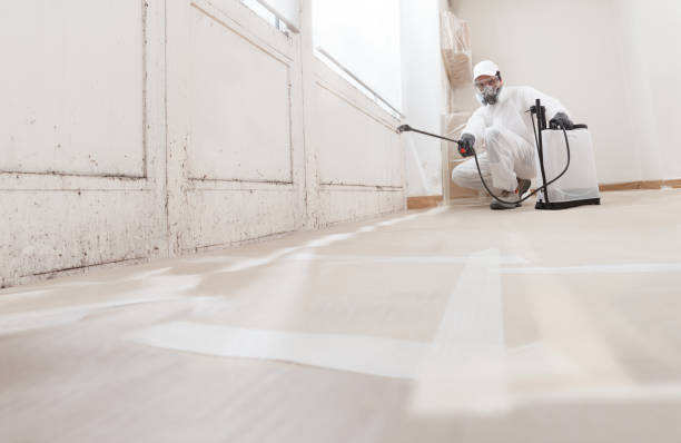 Black mold remediation team in Fort Hill